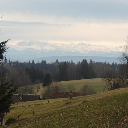 Ferienwohnung Haus Ingeborg Dachsberg im Schwarzwald Exterior foto