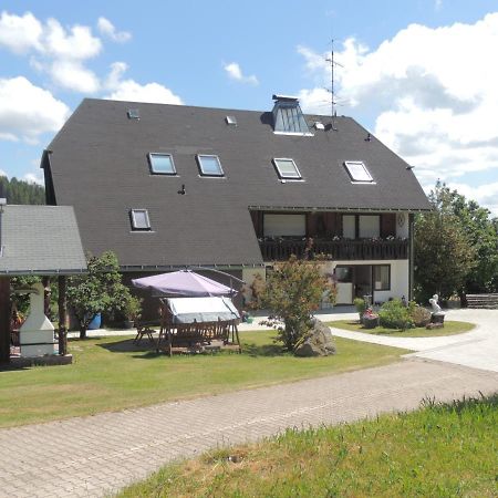 Ferienwohnung Haus Ingeborg Dachsberg im Schwarzwald Exterior foto