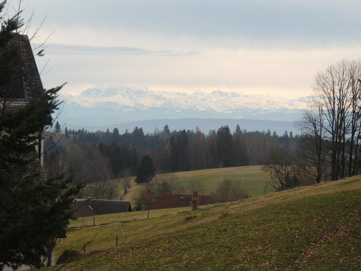 Ferienwohnung Haus Ingeborg Dachsberg im Schwarzwald Exterior foto
