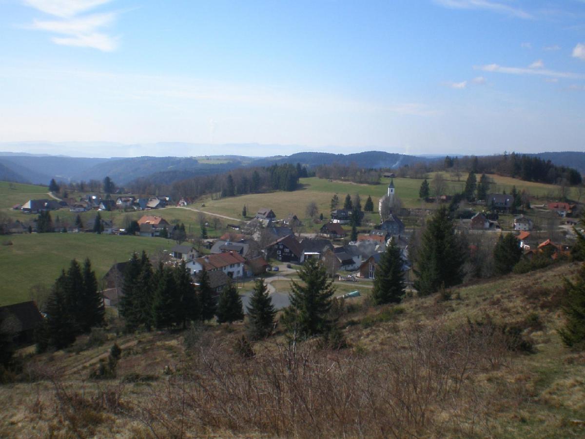 Ferienwohnung Haus Ingeborg Dachsberg im Schwarzwald Exterior foto