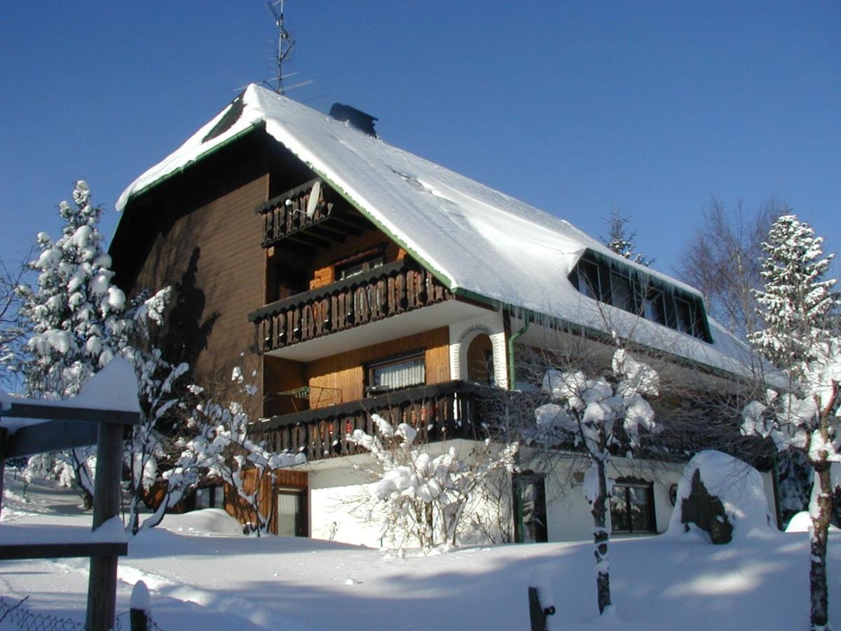 Ferienwohnung Haus Ingeborg Dachsberg im Schwarzwald Exterior foto