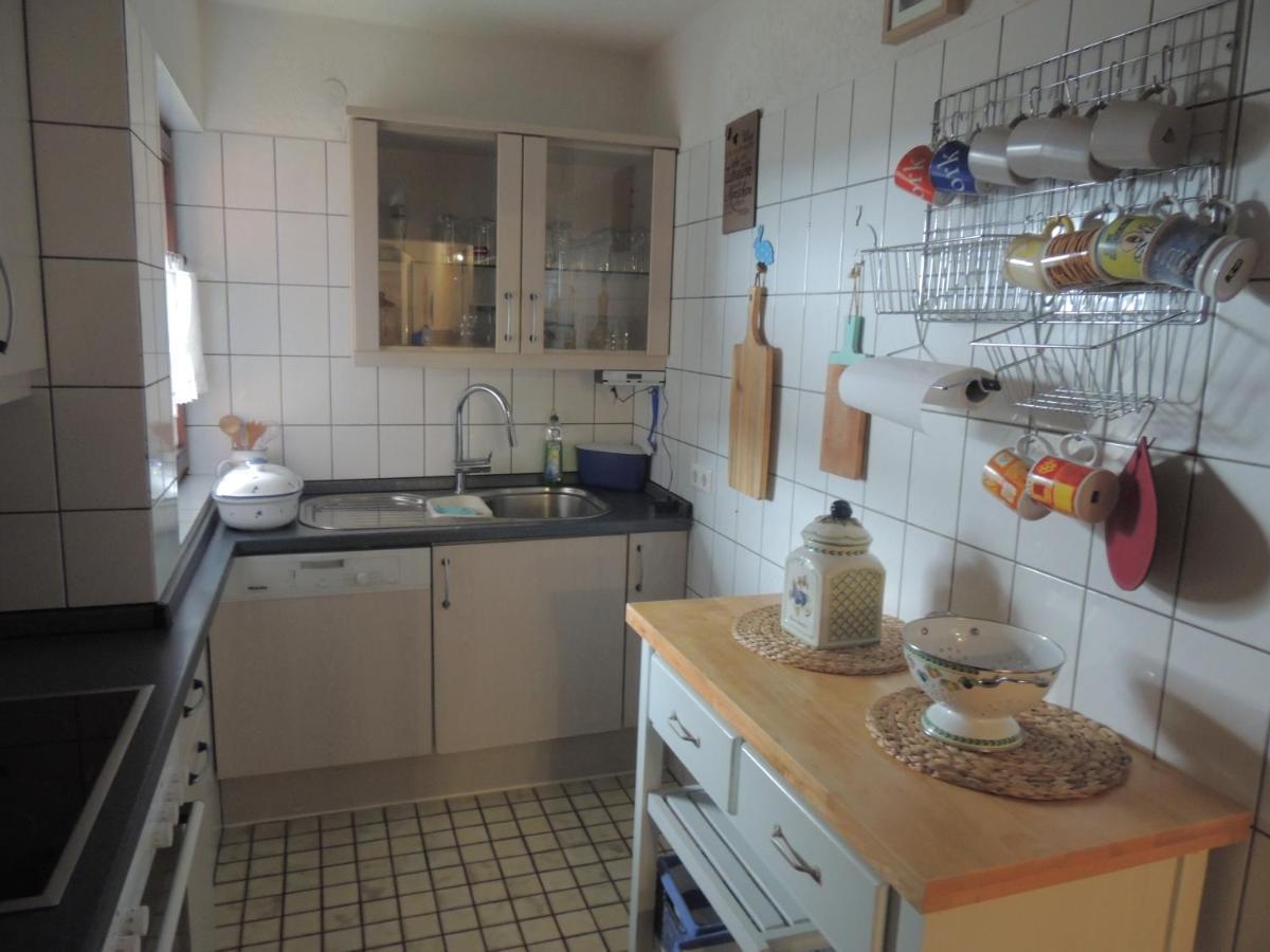 Ferienwohnung Haus Ingeborg Dachsberg im Schwarzwald Exterior foto