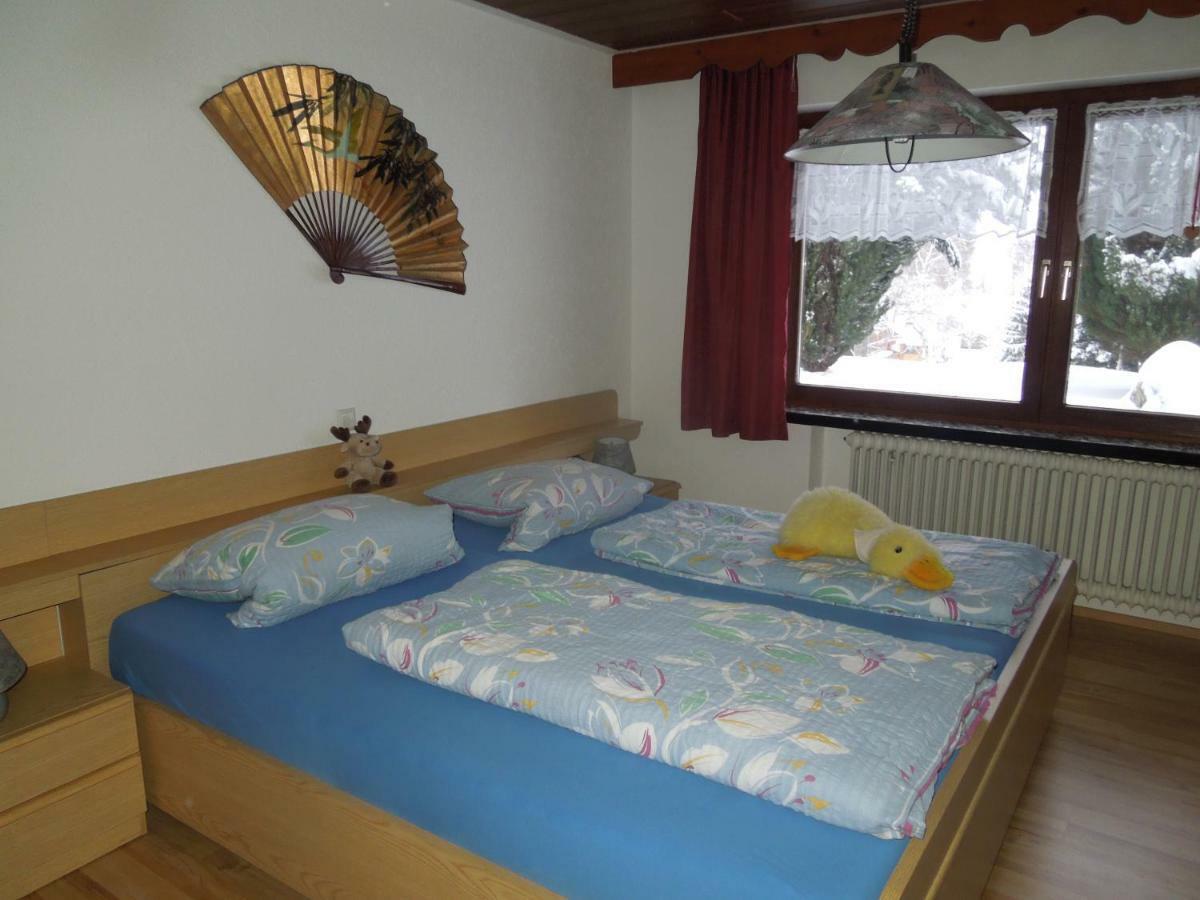 Ferienwohnung Haus Ingeborg Dachsberg im Schwarzwald Exterior foto