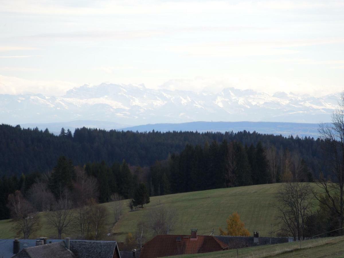 Ferienwohnung Haus Ingeborg Dachsberg im Schwarzwald Exterior foto